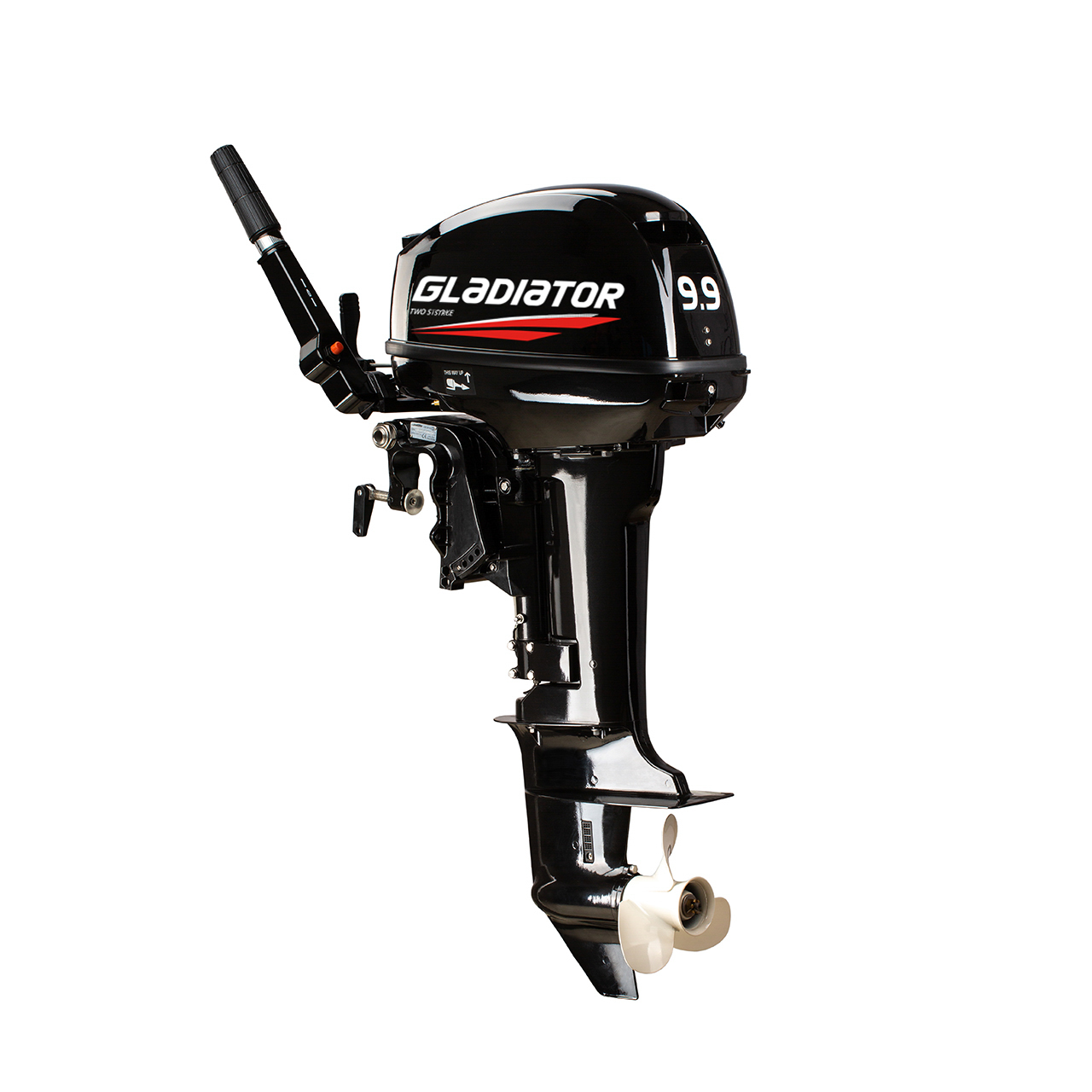 ЛОДОЧНЫЙ МОТОР GLADIATOR G9.9FHS в Владикавказе