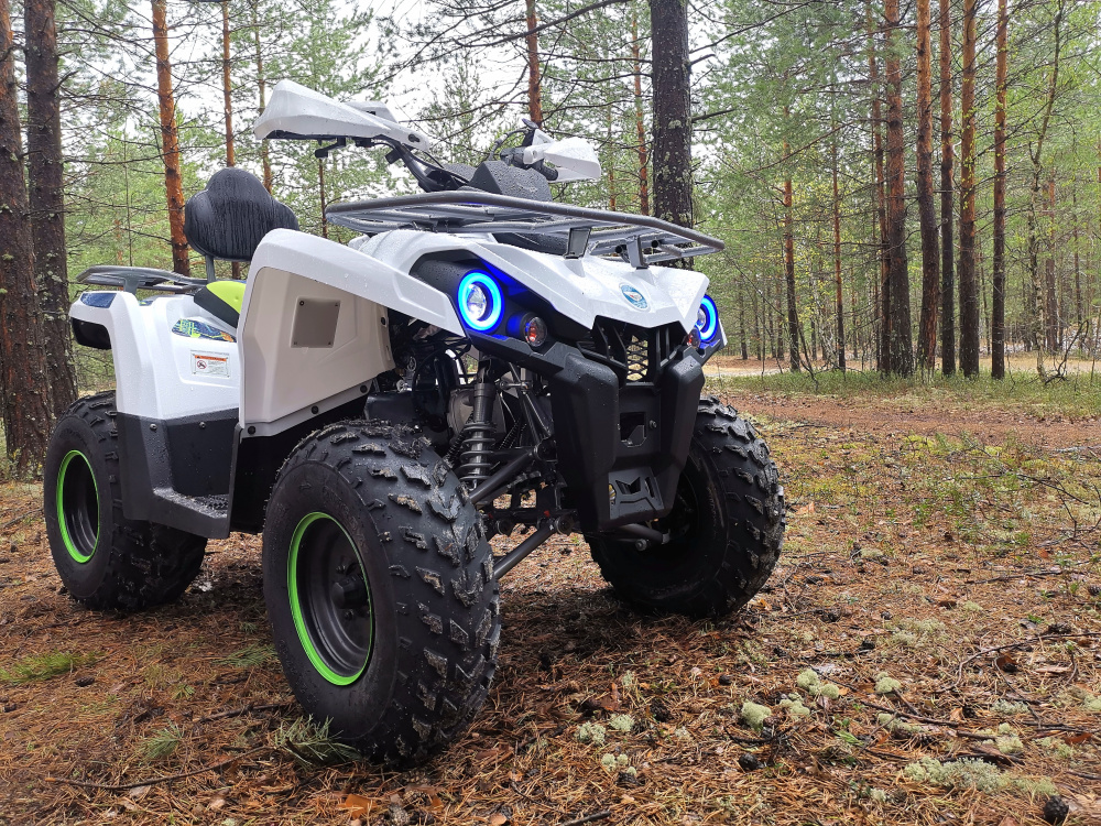 Квадроцикл PROMAX RENEGADE 280 (2025) в Владикавказе