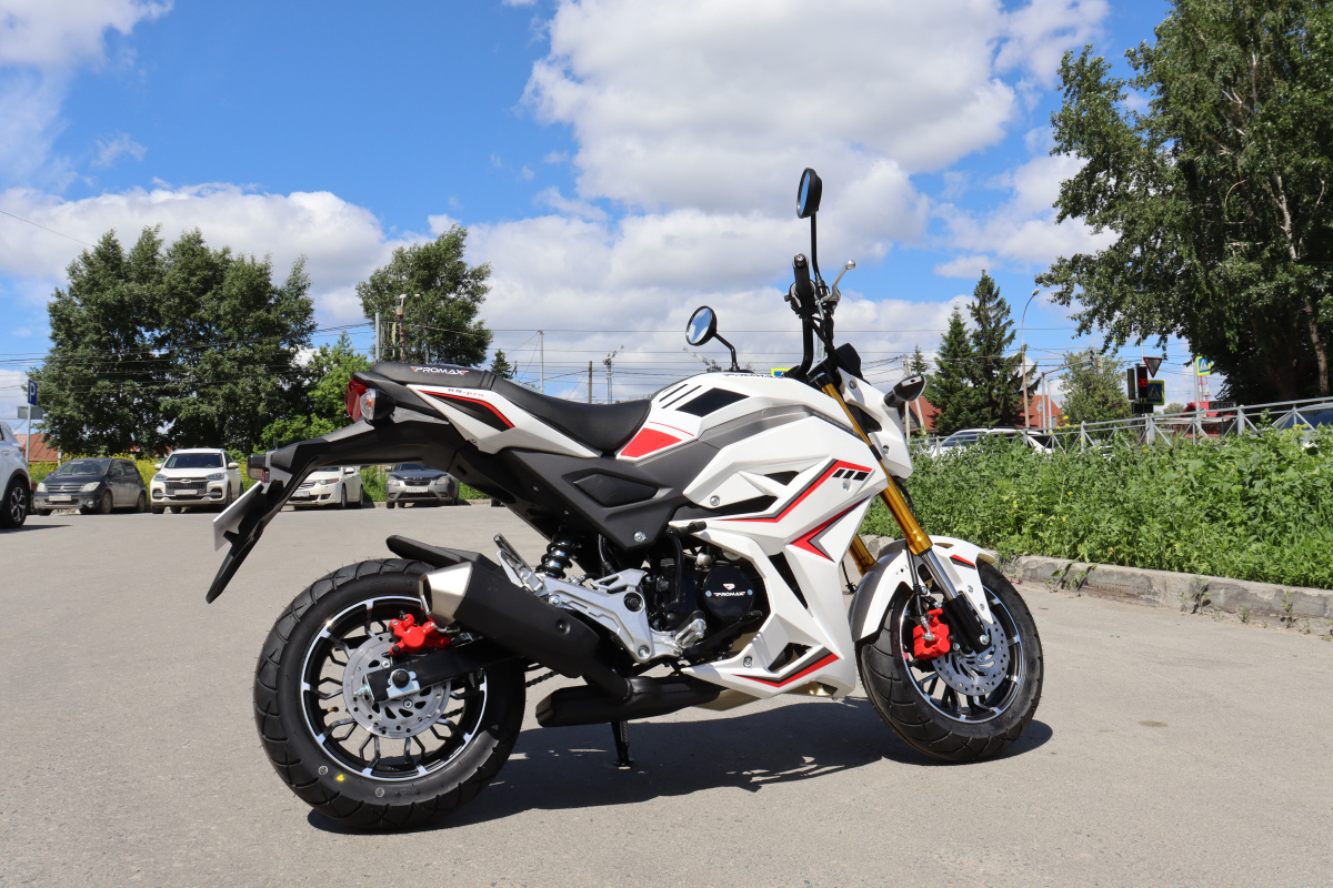 Мотоцикл PROMAX STRYKER 200(49) 2.0 в Владикавказе