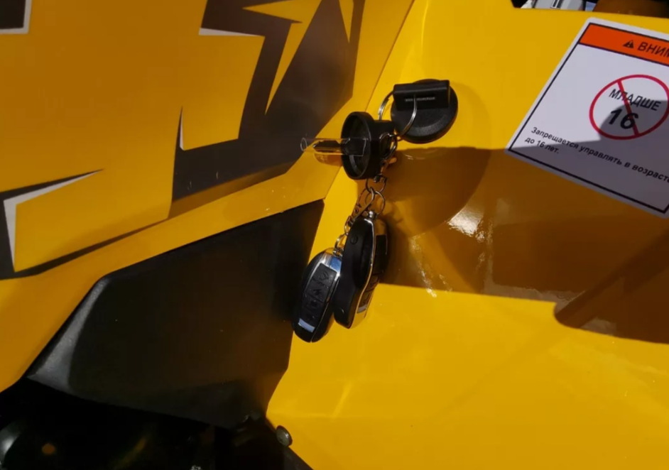 Квадроцикл MOTOLAND (МОТОЛЕНД) VOX200 WILD TRACK X PRO (баланс. вал) в Владикавказе