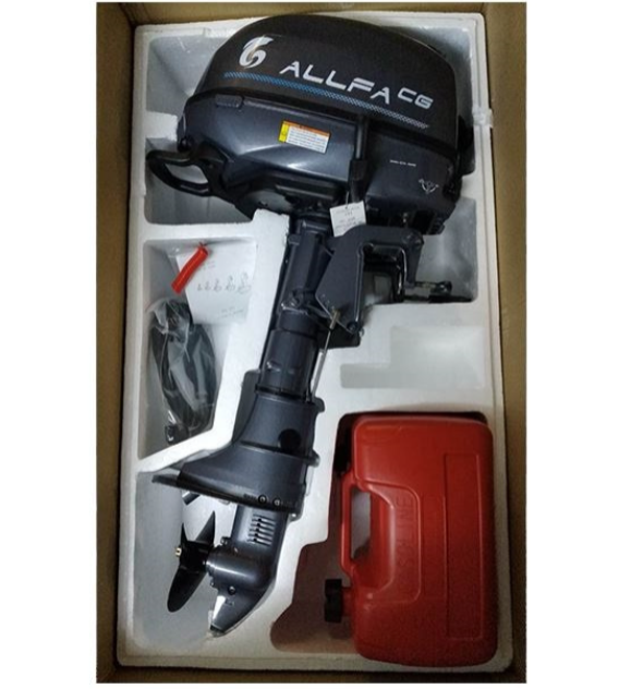 Лодочный мотор ALLFA CG F6 в Владикавказе