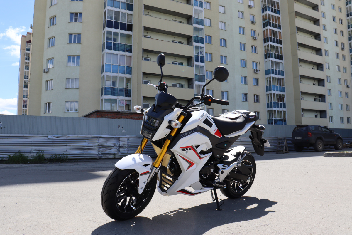 Мотоцикл PROMAX STRYKER 200(49) 2.0 в Владикавказе