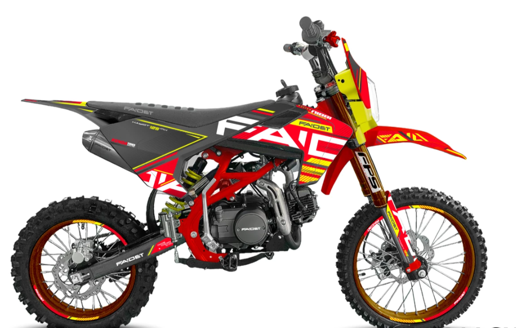 Питбайк FAIDET KAYOT 125E-PRO 17/14 в Владикавказе