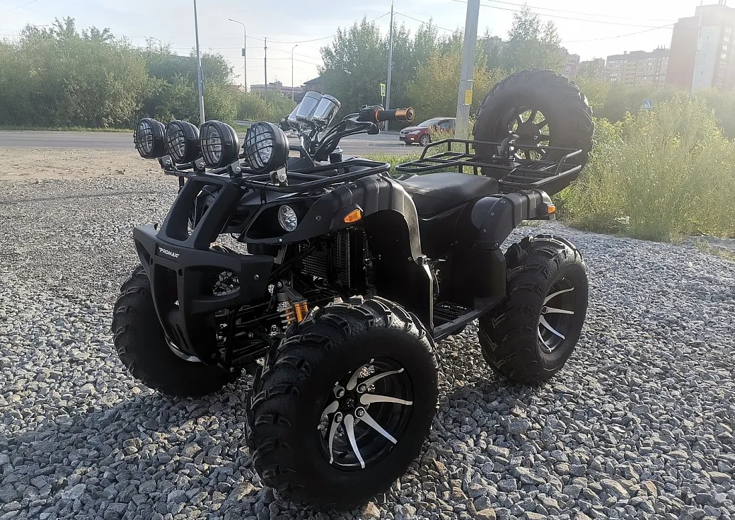 Квадроцикл PROMAX LEO 300 Max (кардан) в Владикавказе