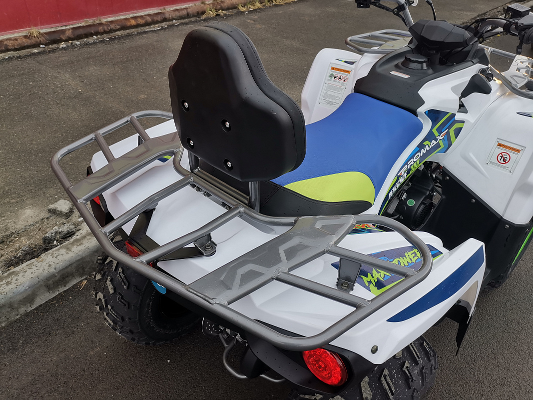 Квадроцикл PROMAX RENEGADE 280 LUX (2025) в Владикавказе