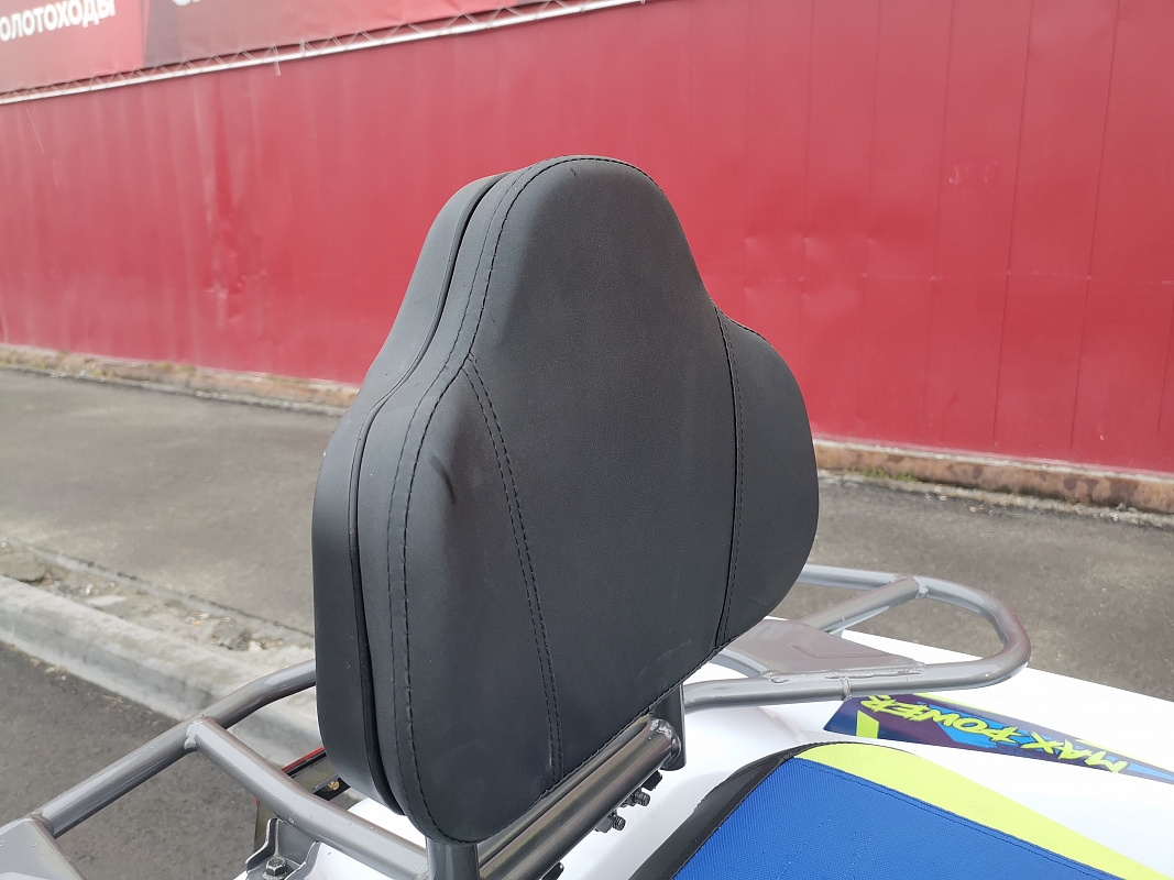 Квадроцикл PROMAX RENEGADE 280 LUX (2025) в Владикавказе