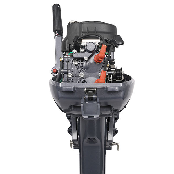 ЛОДОЧНЫЙ МОТОР ALLFA CG Т9,9 в Владикавказе