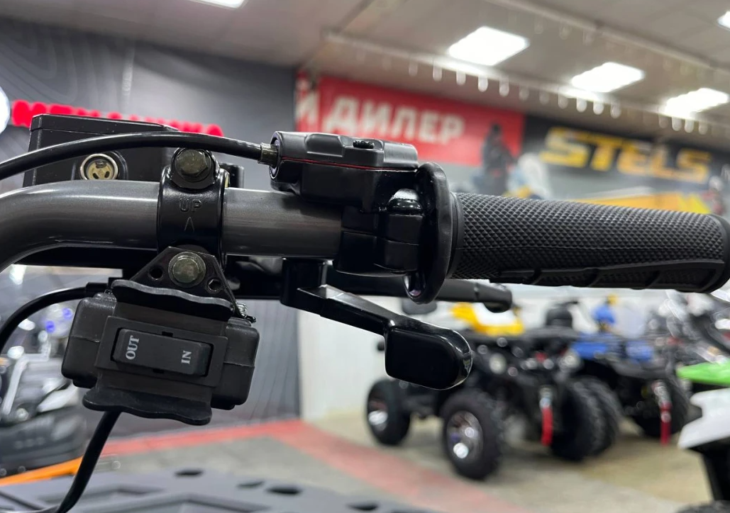 Квадроцикл PROMAX RENEGADE 300 LONG WINCH PRO (2025) в Владикавказе