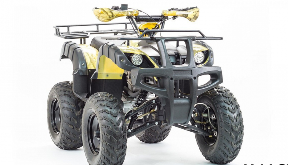 Квадроцикл MOTOLAND (МОТОЛЕНД) 250 ADVENTURE в Владикавказе