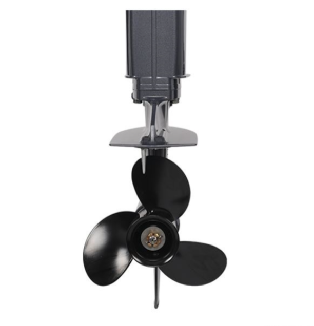 Лодочный мотор ALLFA CG Т40FW S в Владикавказе