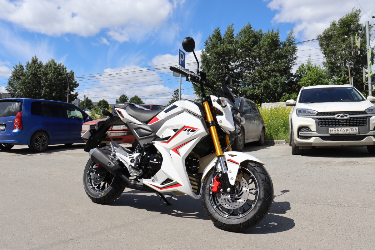 Мотоцикл PROMAX STRYKER 200(49) 2.0 в Владикавказе