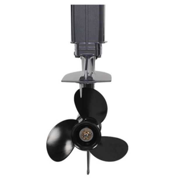 Лодочный мотор ALLFA CG Т40FWT S в Владикавказе