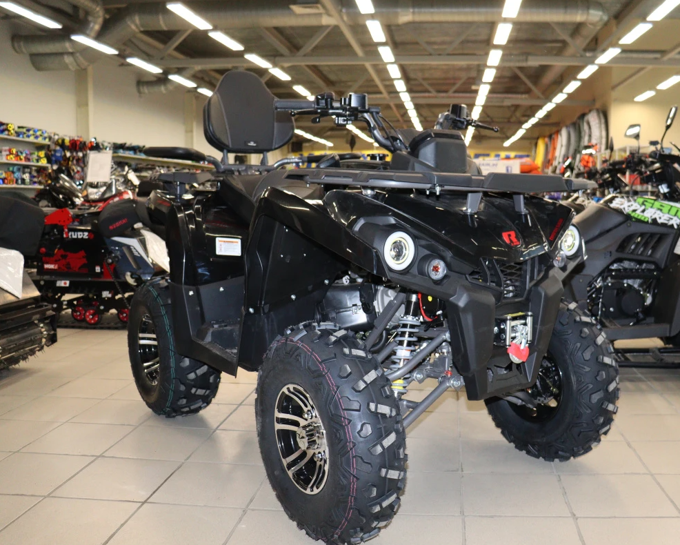Квадроцикл PROMAX RENEGADE 300 LONG WINCH PRO (2025) в Владикавказе