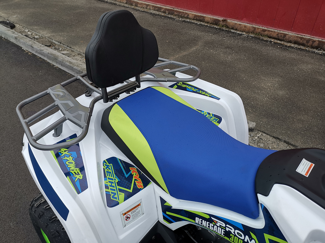 Квадроцикл PROMAX RENEGADE 280 LUX (2025) в Владикавказе