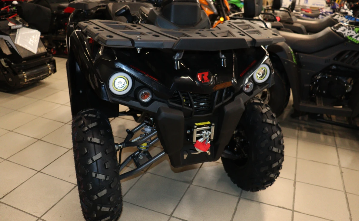 Квадроцикл PROMAX RENEGADE 300 LONG WINCH PRO (2025) в Владикавказе