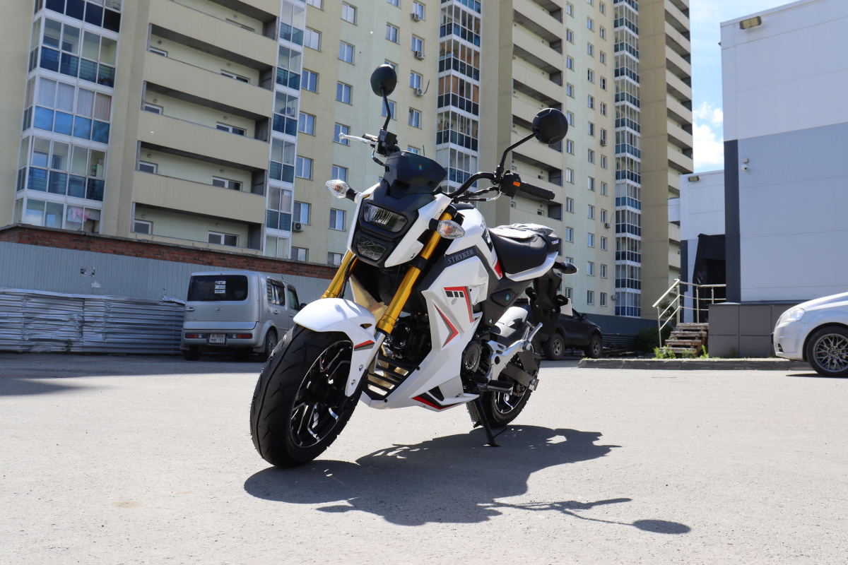 Мотоцикл PROMAX STRYKER 200(49) 2.0 в Владикавказе