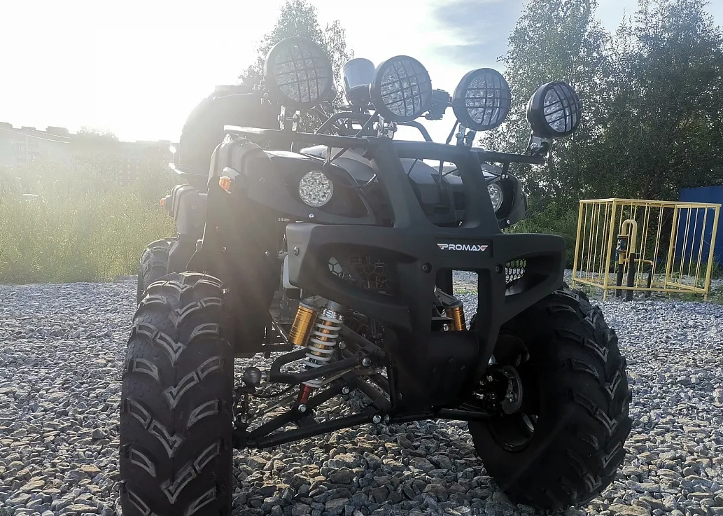 Квадроцикл PROMAX LEO 300 Max (кардан) в Владикавказе