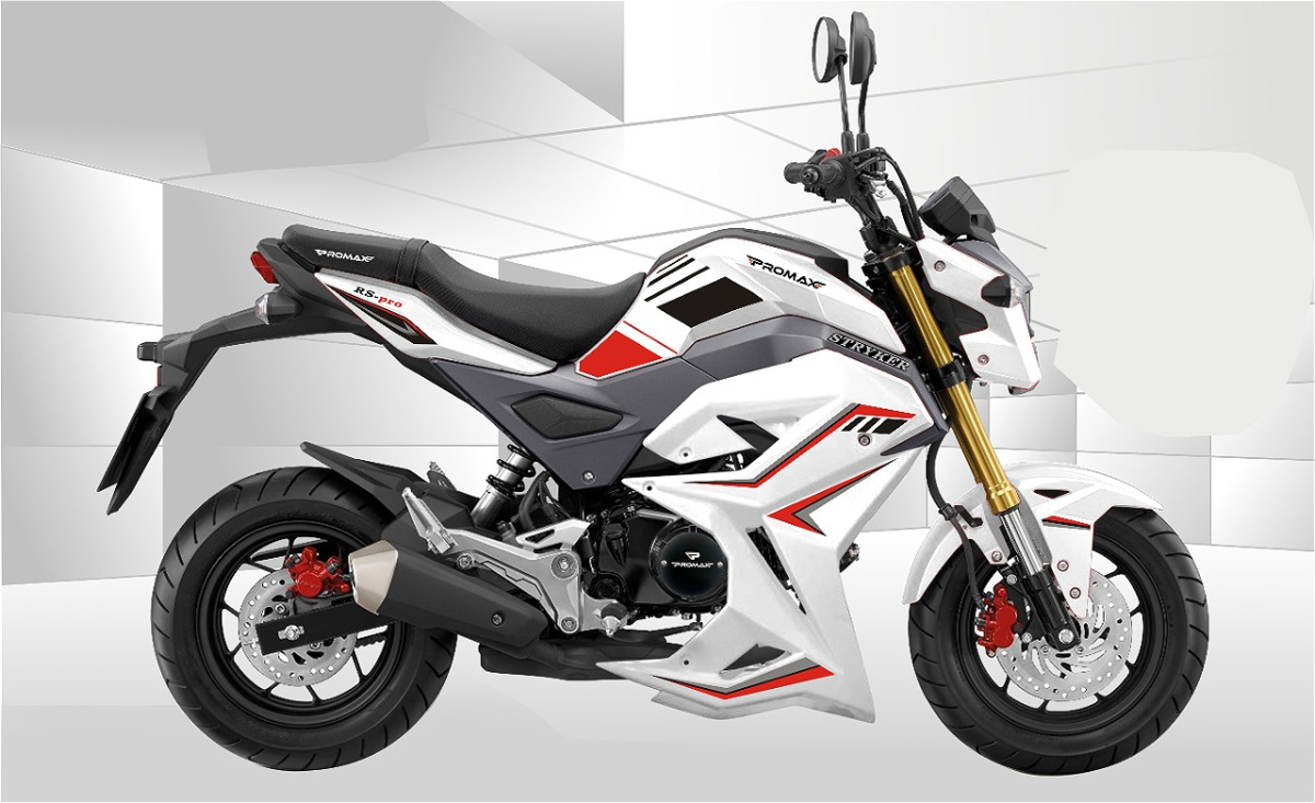 Мотоцикл PROMAX STRYKER 200(49) 2.0 в Владикавказе