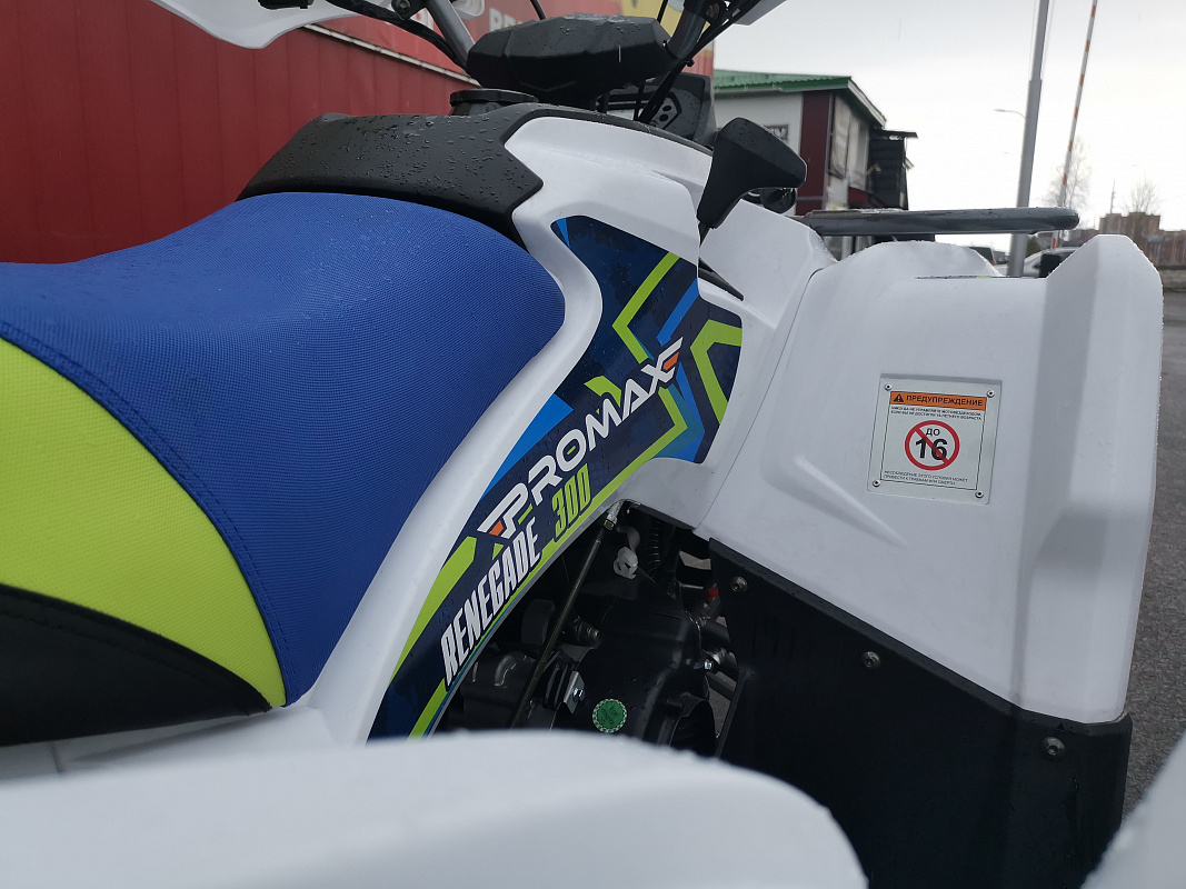Квадроцикл PROMAX RENEGADE 280 LUX (2025) в Владикавказе