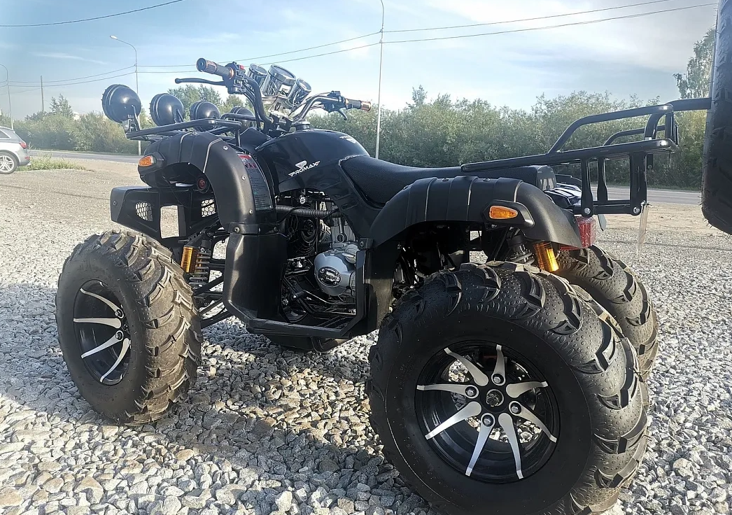 Квадроцикл PROMAX LEO 300 Max (кардан) в Владикавказе