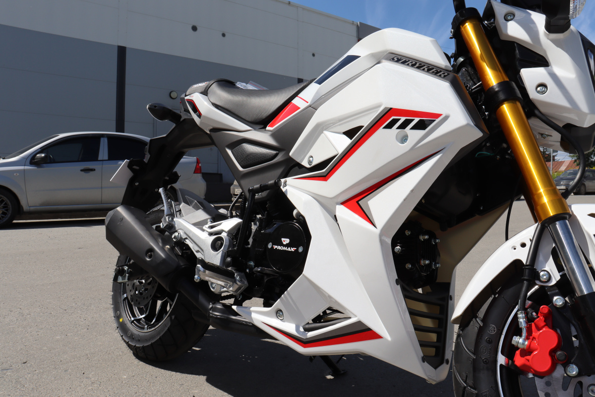 Мотоцикл PROMAX STRYKER 200(49) 2.0 в Владикавказе