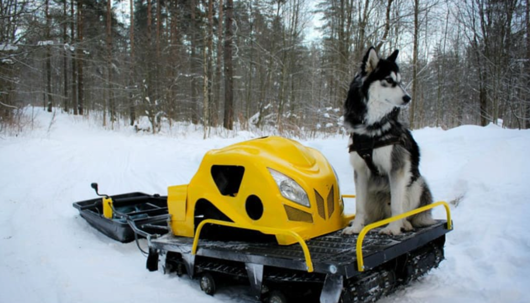 Мотобуксировщик LEBEDEV MOTORS ВОЛКОДАВ POWER V13 в Владикавказе