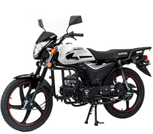 Мопед MOTOLAND (МОТОЛЕНД) Альфа RS 11 (LM48-B) в Владикавказе