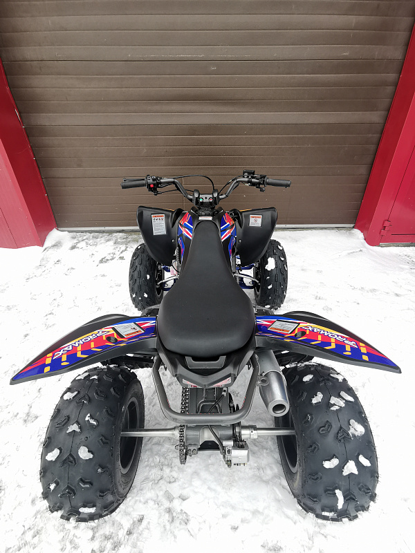 Квадроцикл PROMAX RAPTOR 300 NEW RedBull в Владикавказе