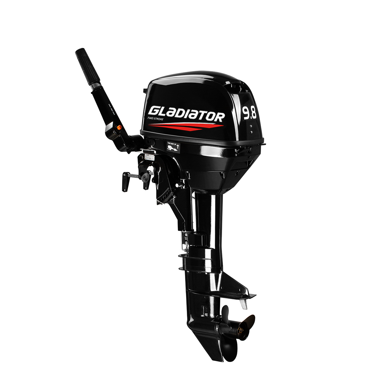 ЛОДОЧНЫЙ МОТОР GLADIATOR G9.8FHS в Владикавказе