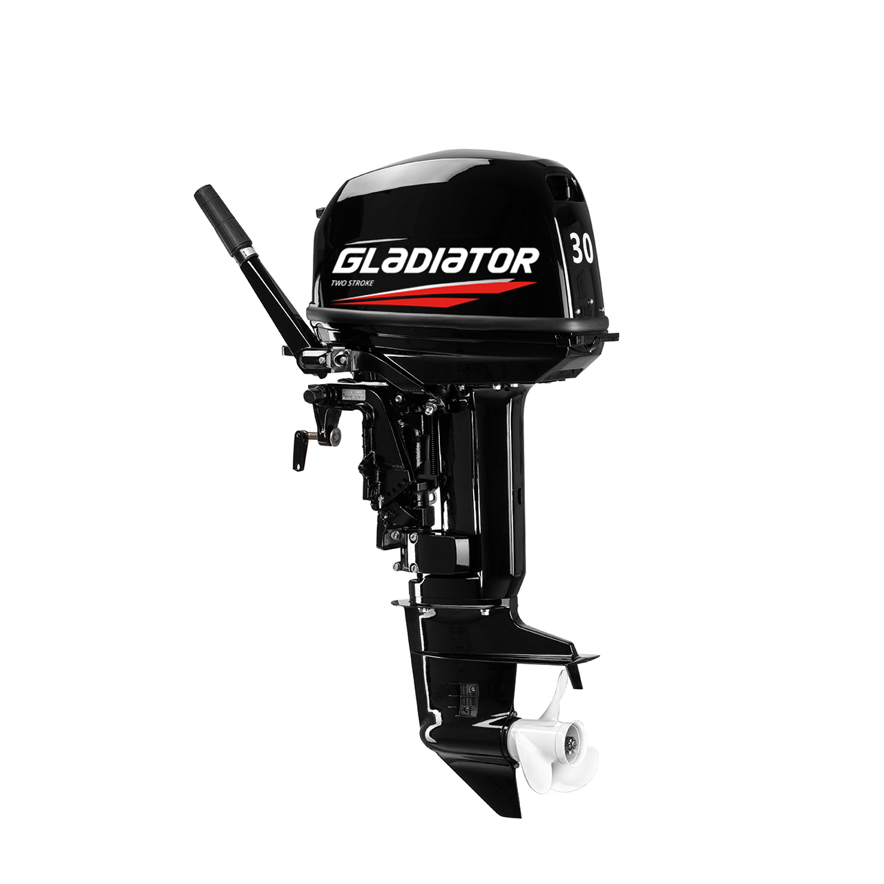 ЛОДОЧНЫЙ МОТОР GLADIATOR G30FHS в Владикавказе