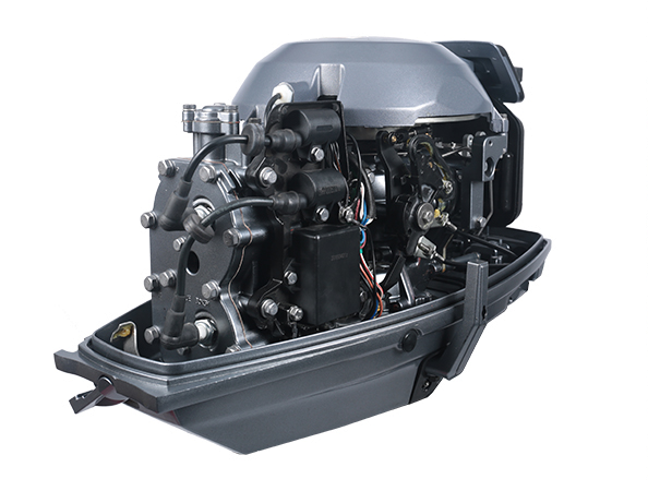 ЛОДОЧНЫЙ МОТОР ALLFA CG T30 FW S в Владикавказе