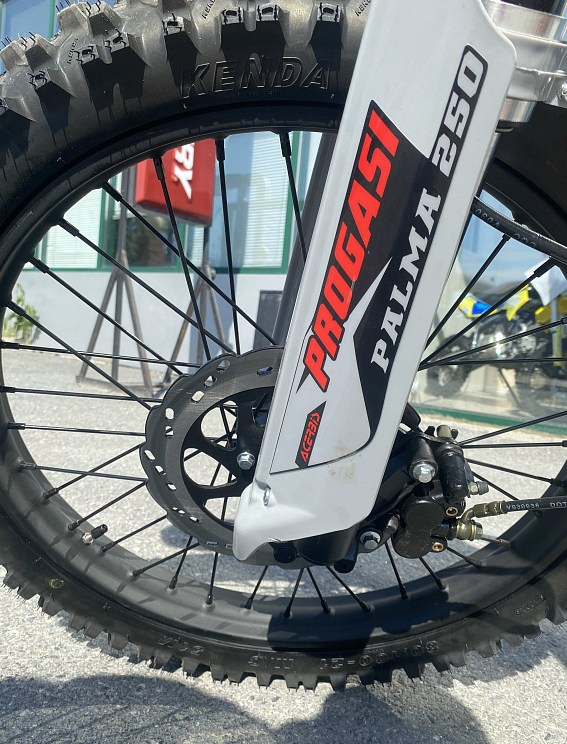 Мотоцикл Progasi PALMA 250SE в Владикавказе