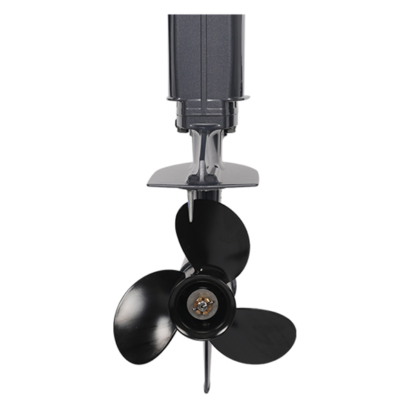 ЛОДОЧНЫЙ МОТОР ALLFA CG T30 FW S в Владикавказе