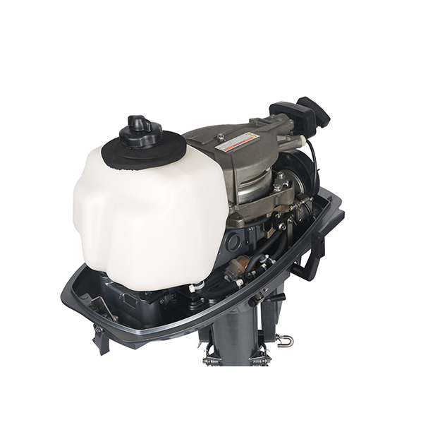 ЛОДОЧНЫЙ МОТОР ALLFA CG T5 в Владикавказе