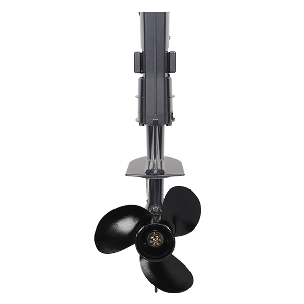 ЛОДОЧНЫЙ МОТОР ALLFA CG T9,8 Limit в Владикавказе