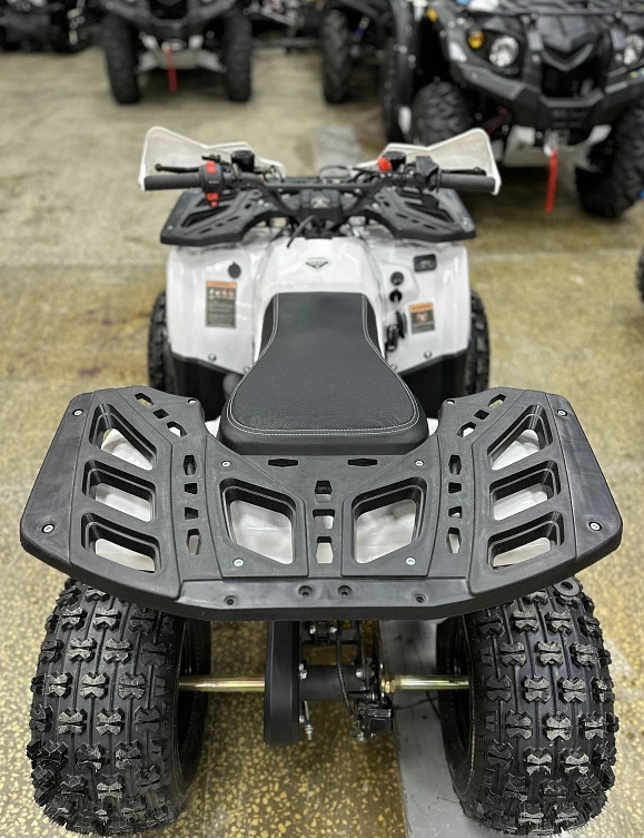 Квадроцикл PROMAX WILD 2.0 190 в Владикавказе