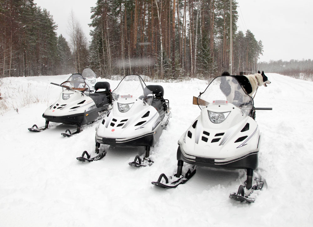 СНЕГОХОД РМ ТАЙГА ВАРЯГ 550 V в Владикавказе