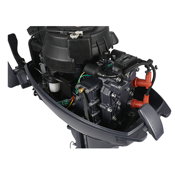 ЛОДОЧНЫЙ МОТОР ALLFA CG Т9,9 в Владикавказе