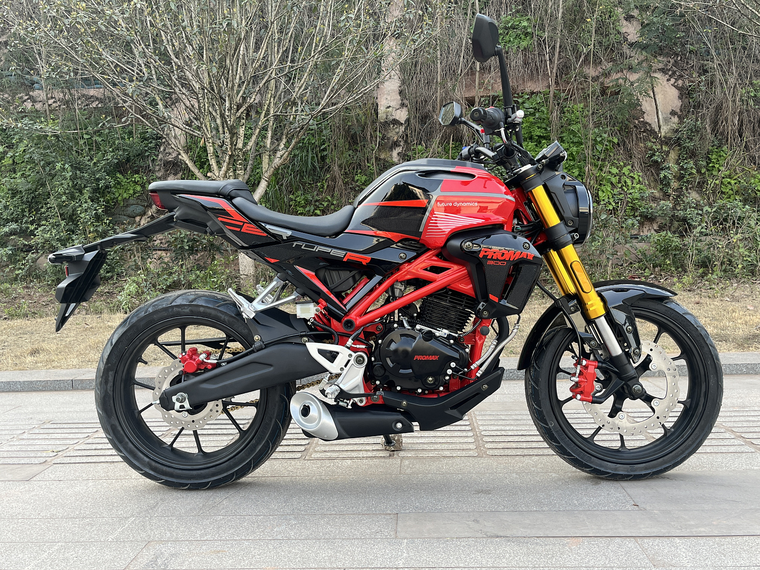 Мотоцикл PROMAX CB300 в Владикавказе