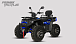 Квадроцикл PROMAX TAURUS 300 MAX-PRO LONG в Владикавказе
