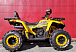 Квадроцикл PROMAX STORM 280 LUX в Владикавказе