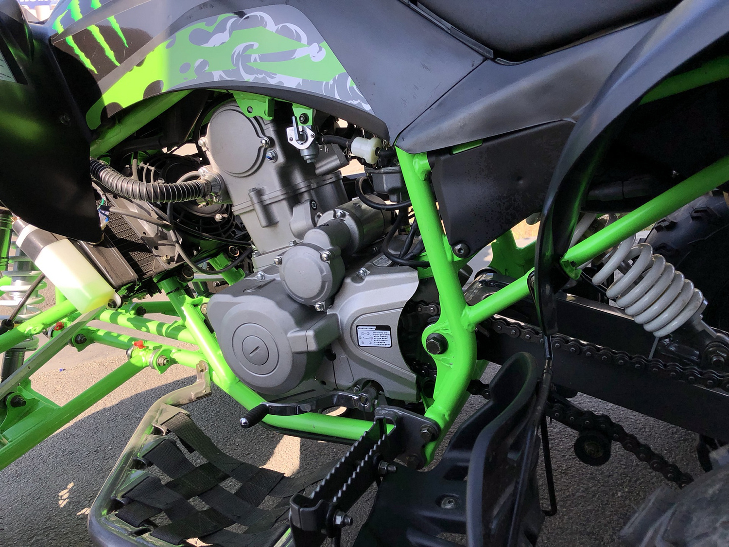 Квадроцикл PROMAX RAPTOR 300 NEW Monster в Владикавказе