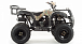 Квадроцикл MOTOLAND (МОТОЛЕНД) 200 ALL ROAD в Владикавказе