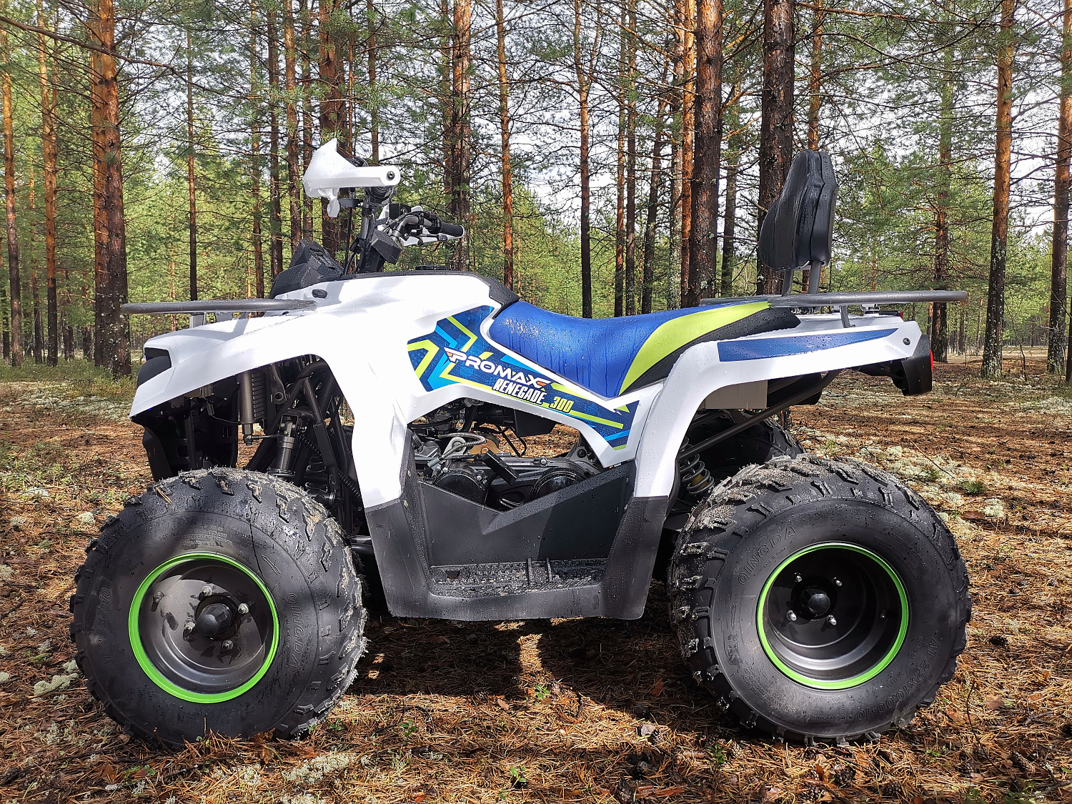 Квадроцикл PROMAX RENEGADE 280 (2025) в Владикавказе