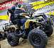 Квадроцикл PROMAX ATV 250 в Владикавказе