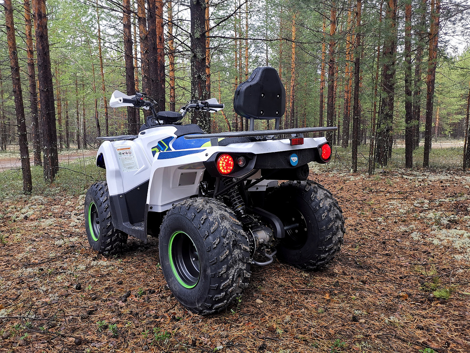 Квадроцикл PROMAX RENEGADE 280 (2025) в Владикавказе