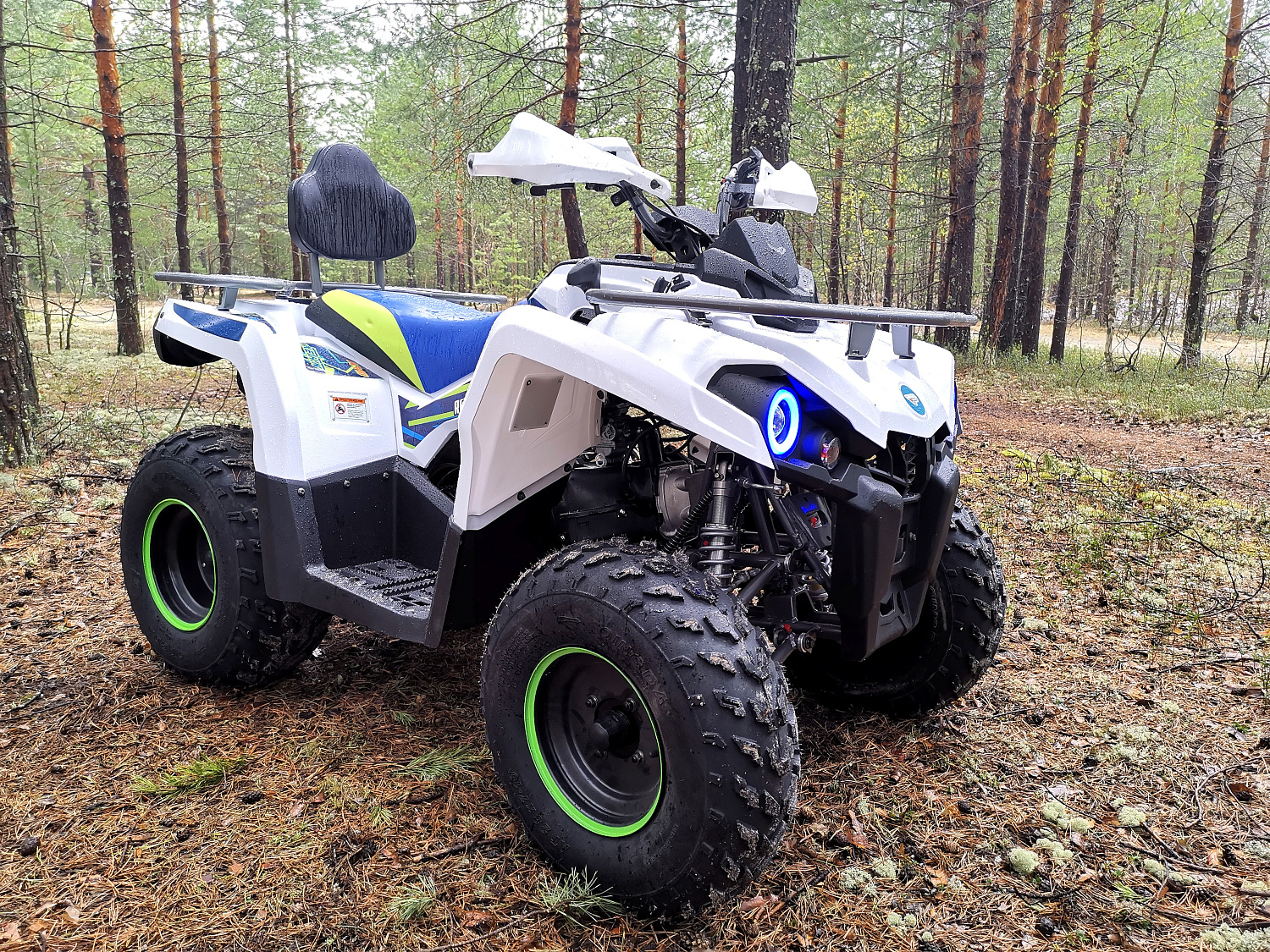 Квадроцикл PROMAX RENEGADE 280 (2025) в Владикавказе