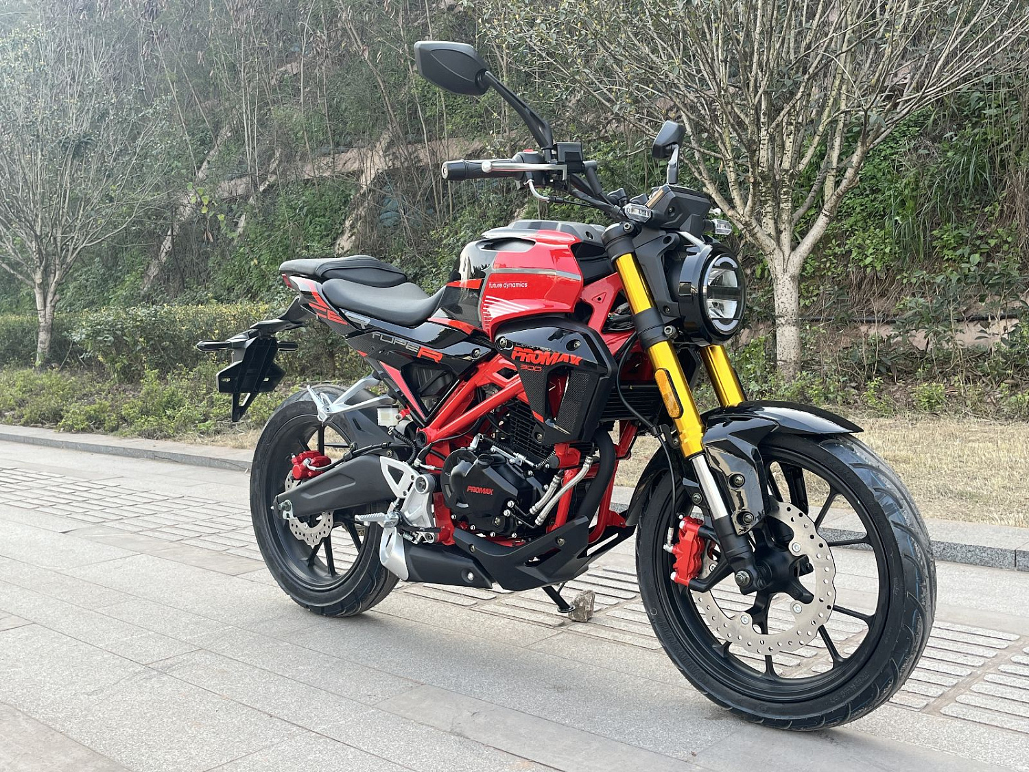 Мотоцикл PROMAX CB300RL (4V, 6G) в Владикавказе