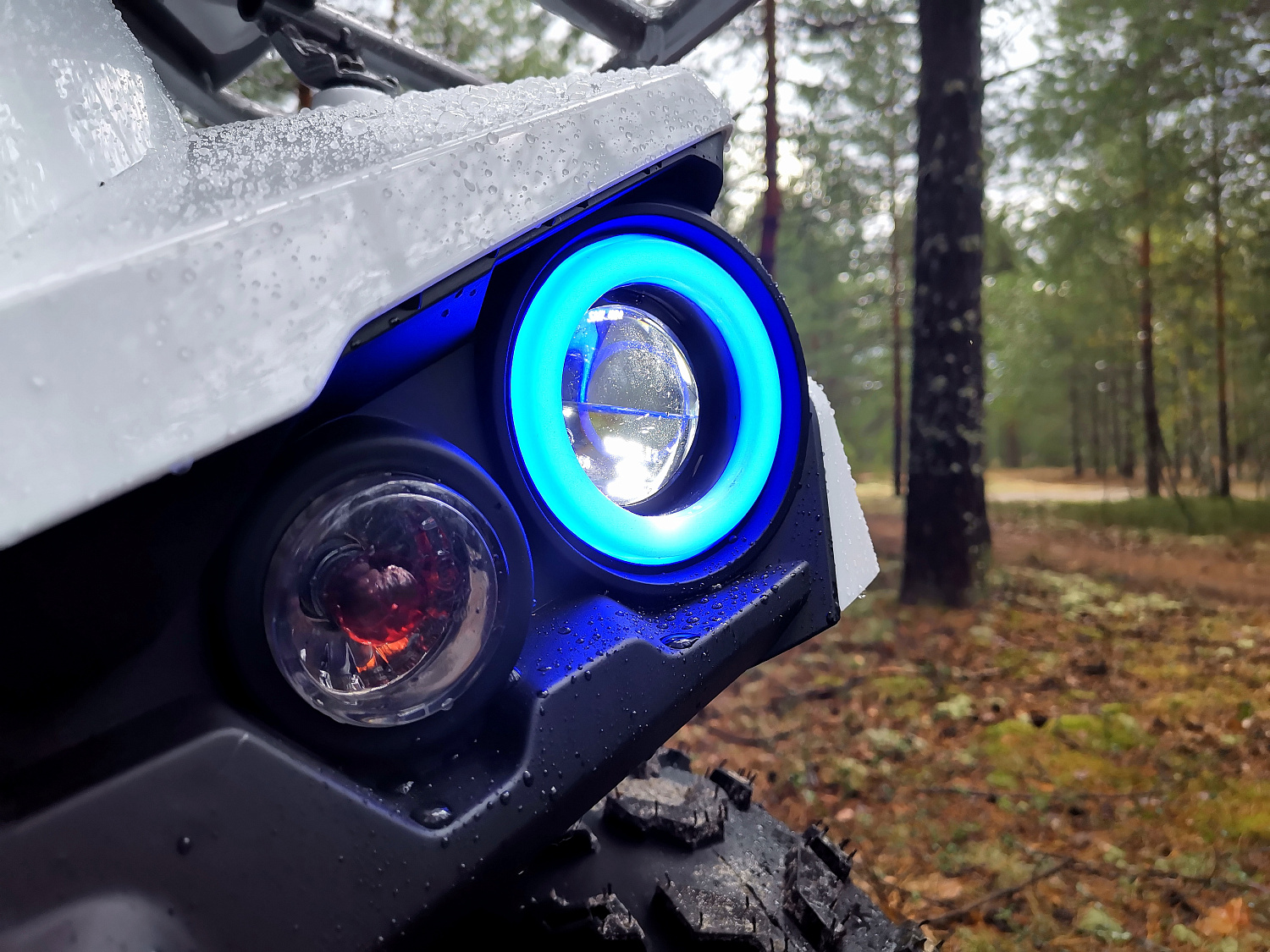 Квадроцикл PROMAX RENEGADE 280 (2025) в Владикавказе