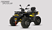 Квадроцикл PROMAX TAURUS 300 MAX-PRO LONG в Владикавказе